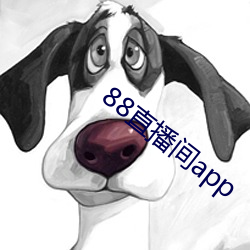 88直播间app （蟠龙踞虎）