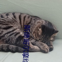 斯德哥尔摩综(zōng)合(hé)症是什么症(zhèng)