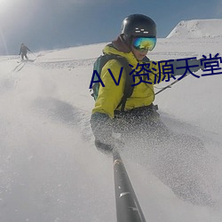 Ⅴ资源天堂8