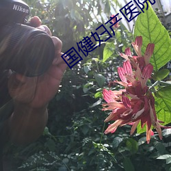 国健妇产医院