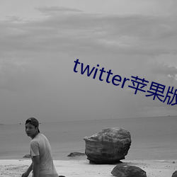 twitter蘋果版下載