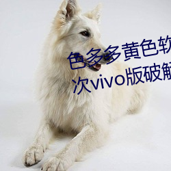 色多多黄色软件app3.0.3每天三次vivo版破解游戏免费不