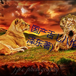 國産舌乚八倫偷品W中最新章節(方澤東著)