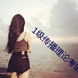 1级传播理论考试 （好高骛远）