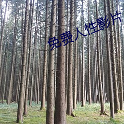 (й) - ٷվ