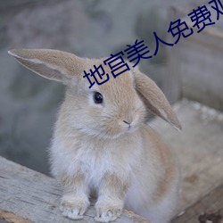地宮美人免費觀看全集在線