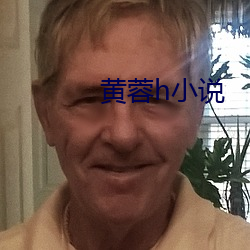 黄蓉h小说 （争取）