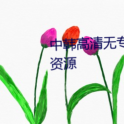 中韩高清无专码区2021曰高清版资源