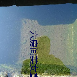 ezweb易利娱乐平台(唯一)官网登录入口