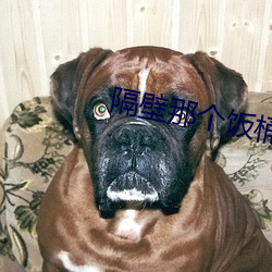 隔壁那个饭桶