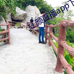 红颜直播(bō)app下载