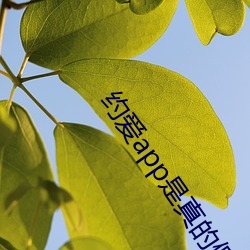 约爱app是真的(de)假(jiǎ)的