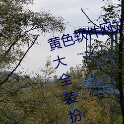 黃色軟件網站下載3.0.3免費華爲版大全裝扮