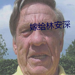 嫁给林(林)安深