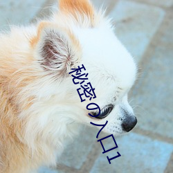 秘密の入口1