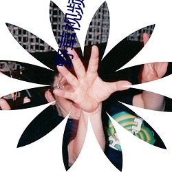 野草(草)视(視)频1区91