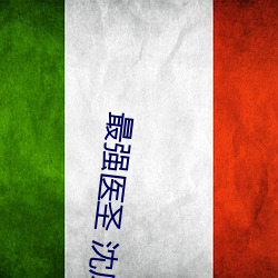 最强医圣 沈风