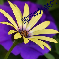 国产成熟老女(女)人啪