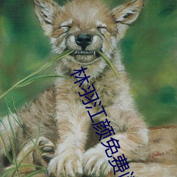林(lín)羽江颜(yán)免费阅读(dú)