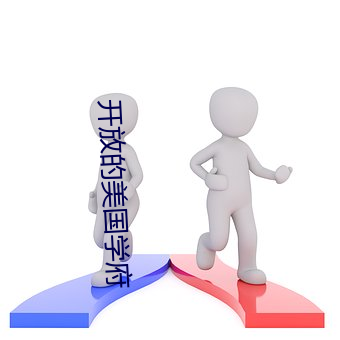 开放的美国学府