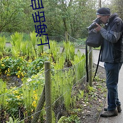 上海岳自白1 （三求四告）