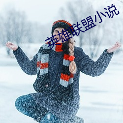 英(yīng)雄联(lián)盟小(xiǎo)说