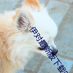 伊对(duì)最新版下载安装