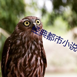 經典都市小說
