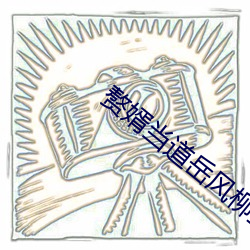 赘婿当道岳风柳萱全文 （弊衣疏食）