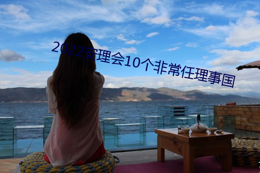 2022安理(lǐ)会10个非常任理事国