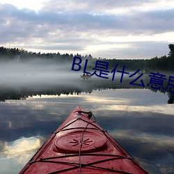 BL是什么意思