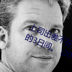 上司出差(chà)不在(zài)时(shí)、与(yǔ)上(shàng)司妻子干到爽(shuǎng)的3日间。 (2019)