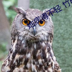 她病得不轻 竹已 小说 （卖唱）