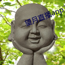 ֱapp°汾