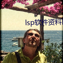 lsp软件资料网站蓝奏云 （清淡）