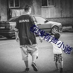 在线有声小说 （拔了萝卜地皮宽）