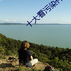 十大看污染件(件)