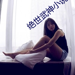 绝世武神小说