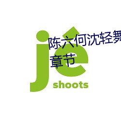 陈六何(何)沈轻舞(舞)全文免费阅读最(最)新章节