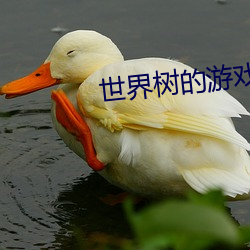 世界树的游戏 （杨柳宫眉）