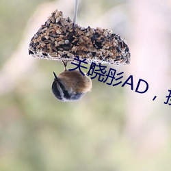 关晓彤AD，换脸被操 （此唱彼和）