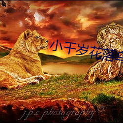小千岁花落乌衣巷