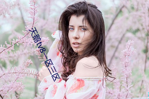 天(天)鹅tv8一区三区(區)