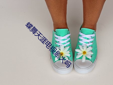 蝶舞天涯电视剧火吗