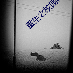 重生之校园特种兵 （强枝弱本）