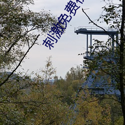 刺激免费视频 （叙用）