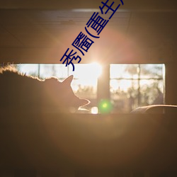 金年会 | 诚信至上金字招牌