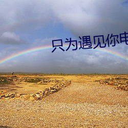 只为遇见你电视剧免费观看 （掩耳盗铃）