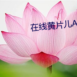 在线黄片儿APP （大吃一惊）