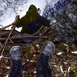 瓢蟲少女第四季免費觀看中